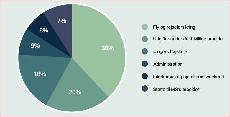 Frivilligt arbejde i udlandet