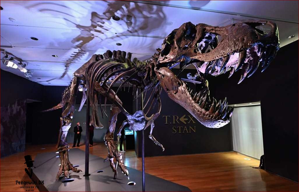 T rex skelet Opdag mysterierne bag denne ikoniske dinosaur