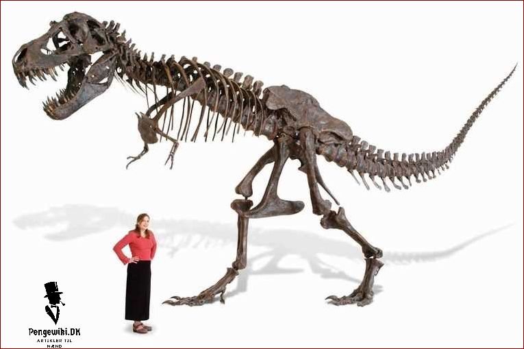 Hvad er T rex skelet?