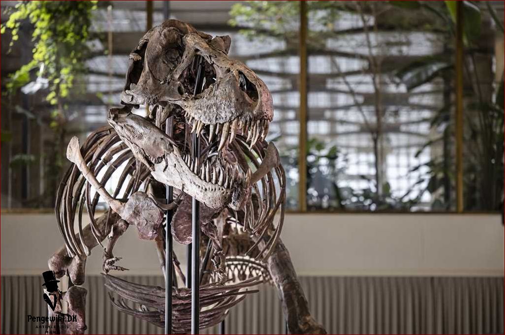 Udforskning af skelettets detaljer