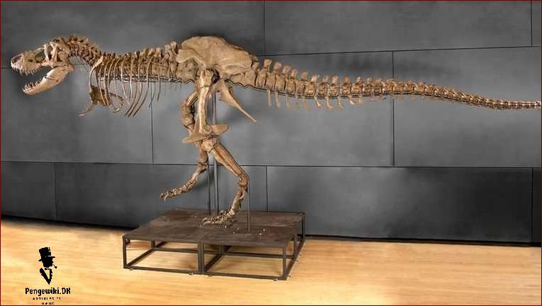 Historien om T rex skelet