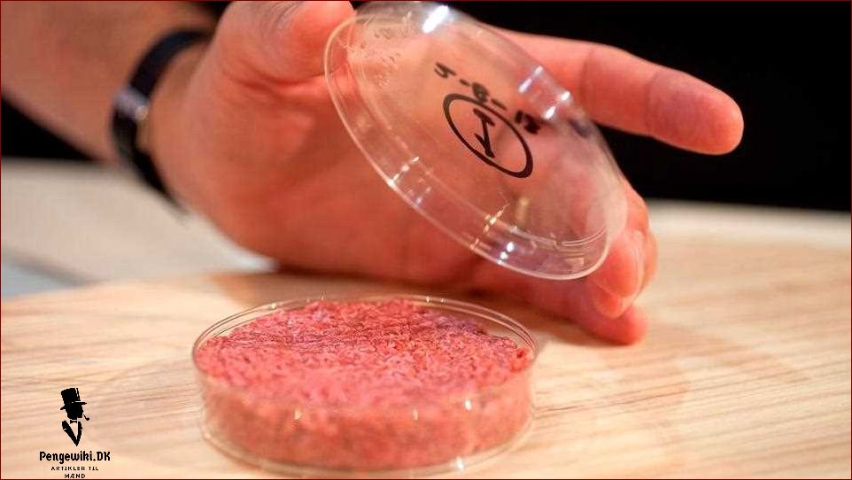 Definition og koncept