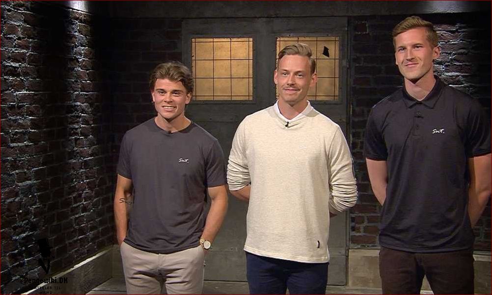 Bare en t-shirt Løvens hule