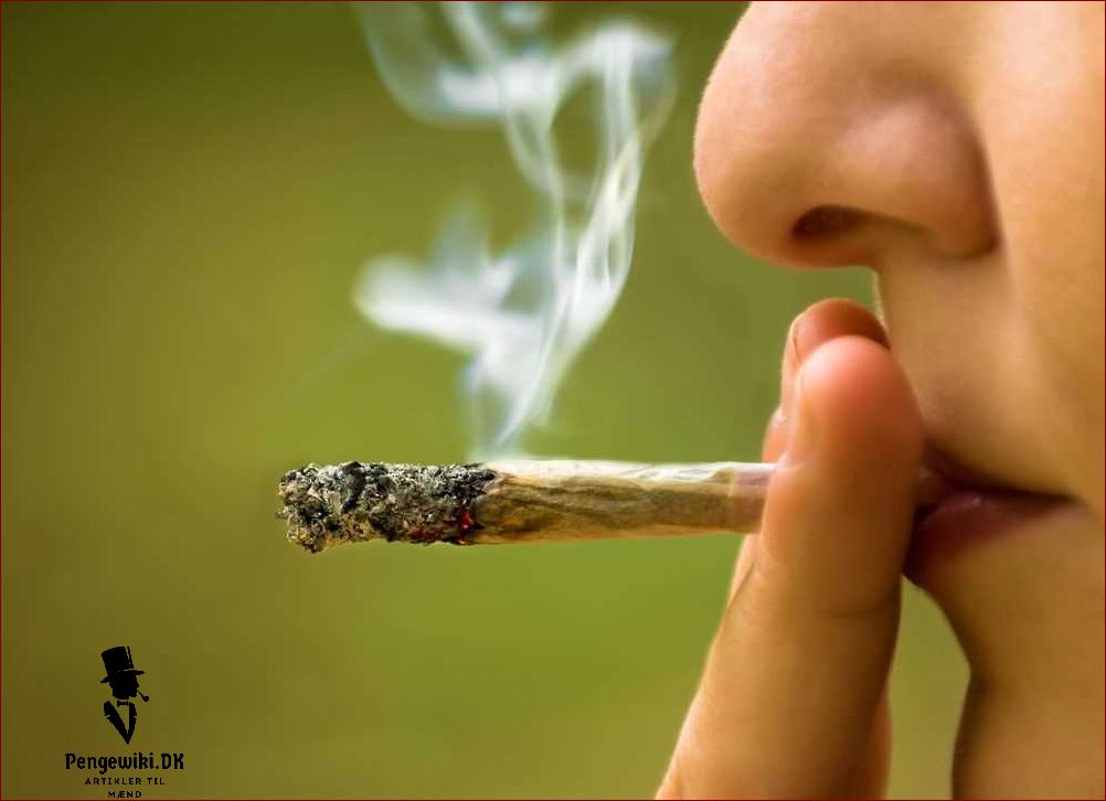 Cannabis i Danmark: Lovgivning og brug af cannabis - Alt hvad du behøver at vide