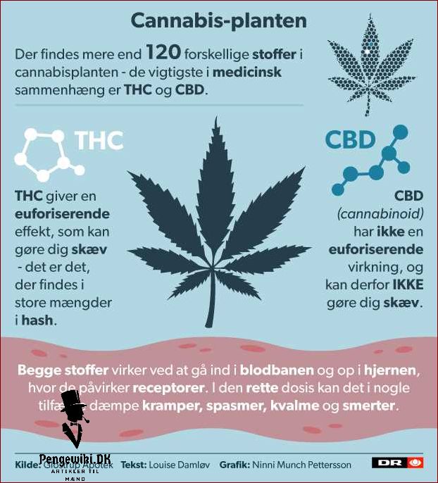Cannabis i Danmark Læs alt om lovgivning medicinsk anvendelse og dyrkning