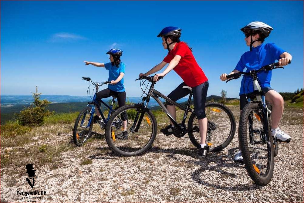 Find den perfekte elektriske mountainbike til dine eventyr - E mtb