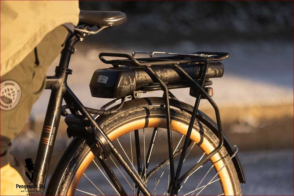 El cykel - Den nye måde at cykle på