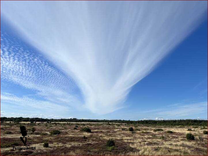 Exit dr Få hjælp til at forlade din lægepraksis