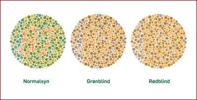 Farveblind briller - Hvad er de og hvordan kan de hjælpe farveblinde