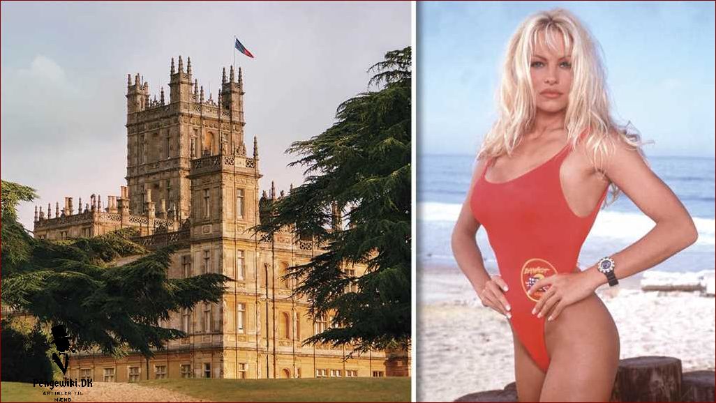 Film og tv-serier med Pamela Anderson | Se hendes bedste roller her