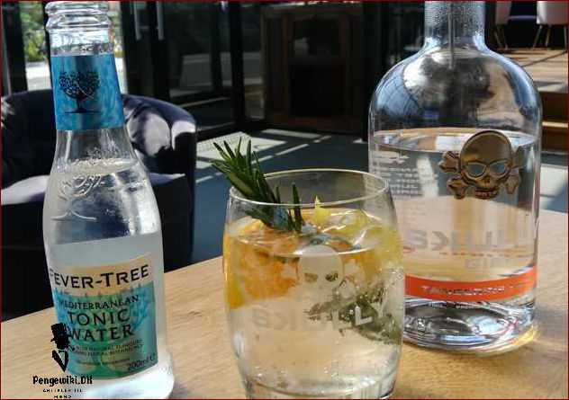 Gin festival - Oplevelser, smagsprøver og meget mere