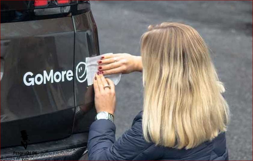 Gomore priser - Find de bedste priser på Gomore
