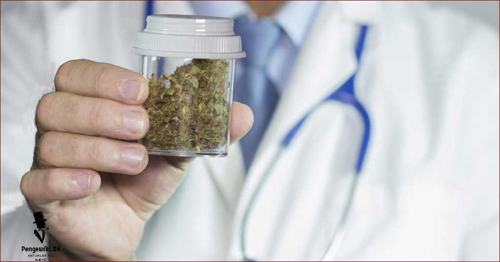 Hvad er weed? En grundig guide til cannabis | Alt, du behøver at vide