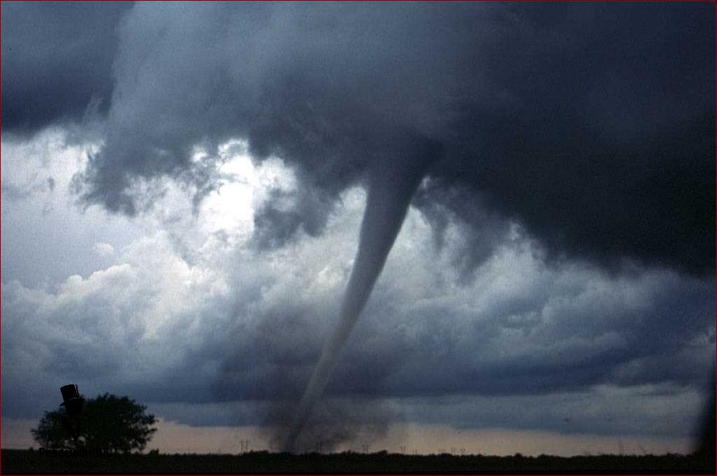 Ild tornado - Alt hvad du behøver at vide om fænomenet