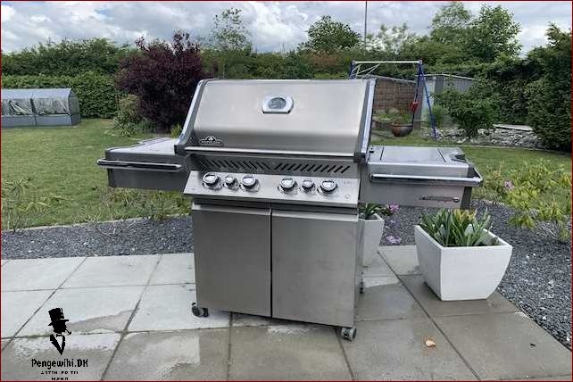 Napoleon prestige 500 - Alt du behøver at vide om denne grill