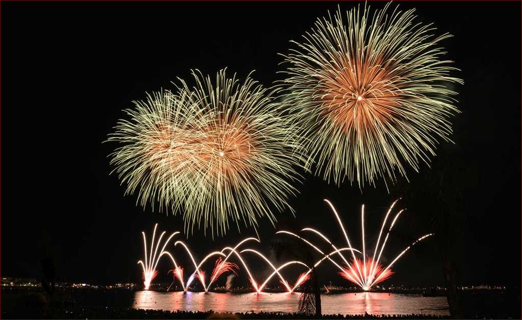 Nytår i Aalborg: Find de bedste arrangementer og fejr det nye år i Aalborg