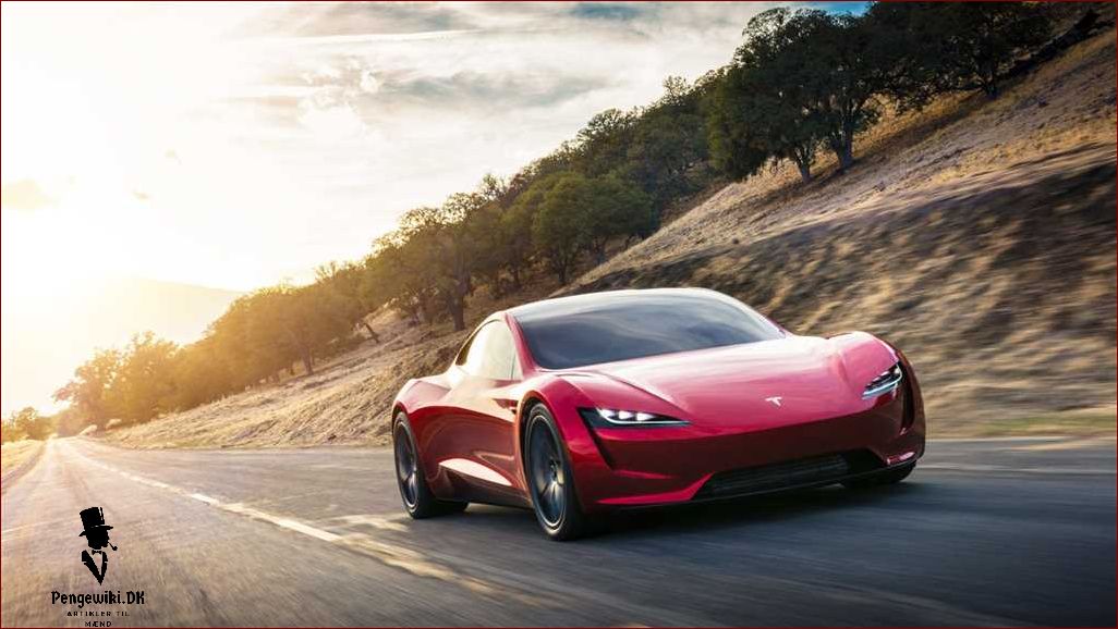 Tesla sportsbil - Den ultimative elbil til bilentusiaster