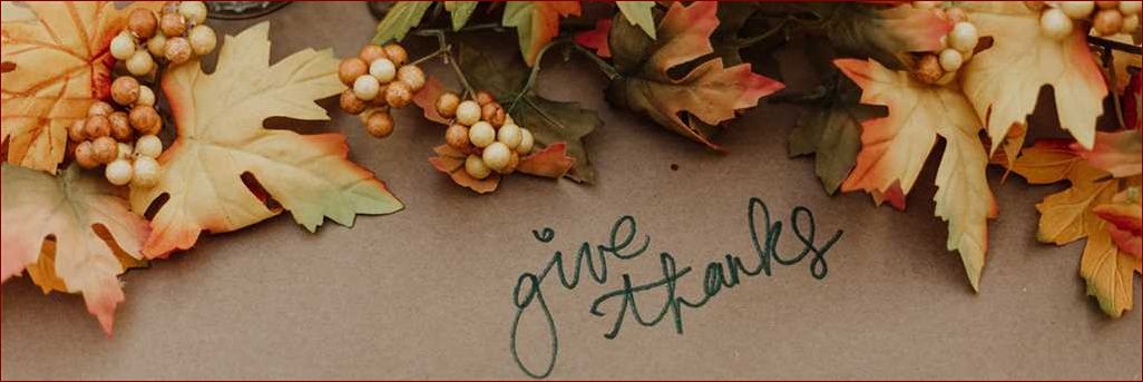 Thanksgiving vanvid: Oplev den vildeste ferie nogensinde