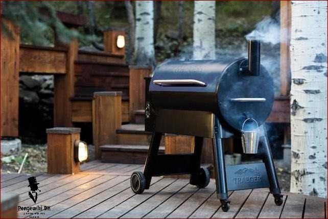 Traeger grill - Den ultimative guide til at vælge den bedste grill