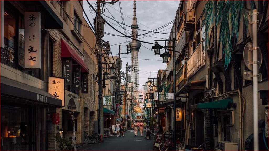 Verdens højeste: Alt hvad du behøver at vide om de højeste bygninger og bjerge