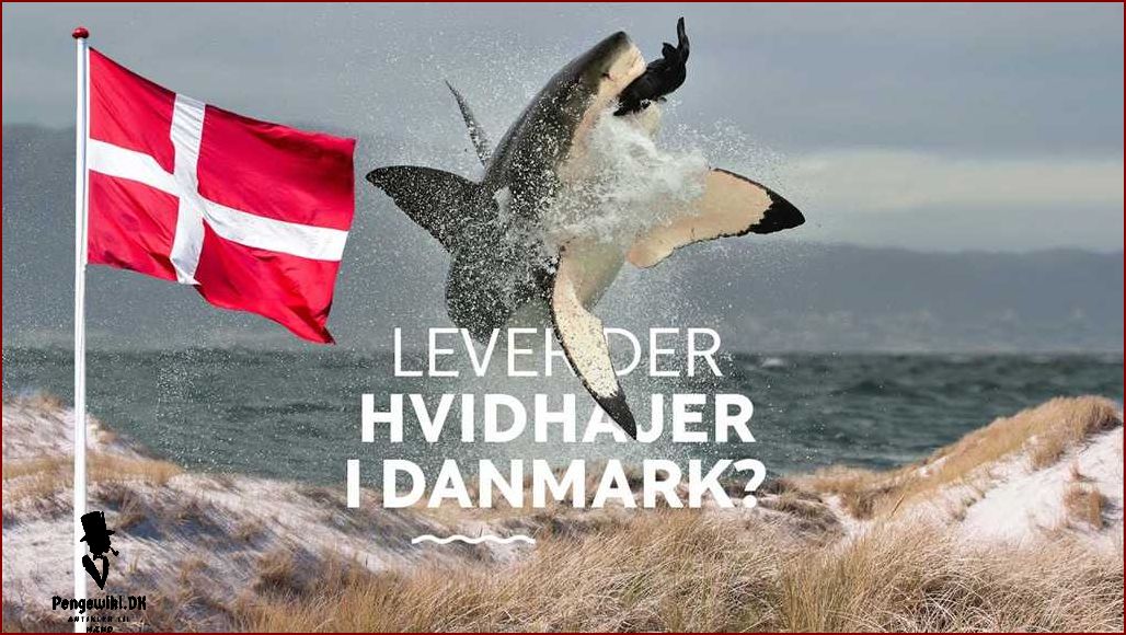 Verdens største hangarskib - Fakta og information | Sidenavn