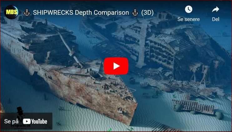 Verdens største skib: Alt du bør vide om dette imponerende fartøj