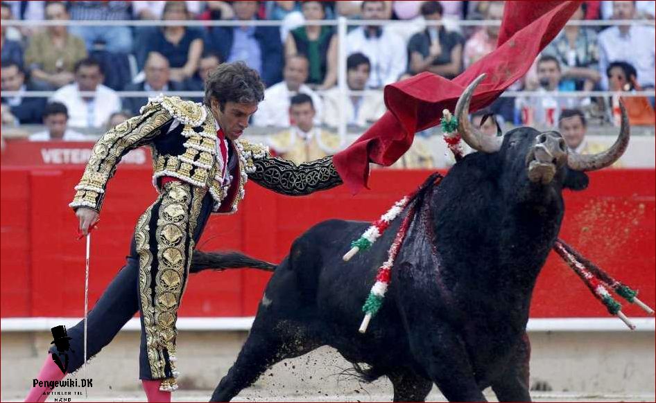 Tyrefægter på spansk En dybdegående guide til den spanske tyrefægtningskultur