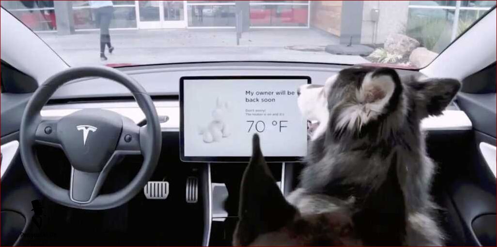 Hvad er Tesla hundemode?