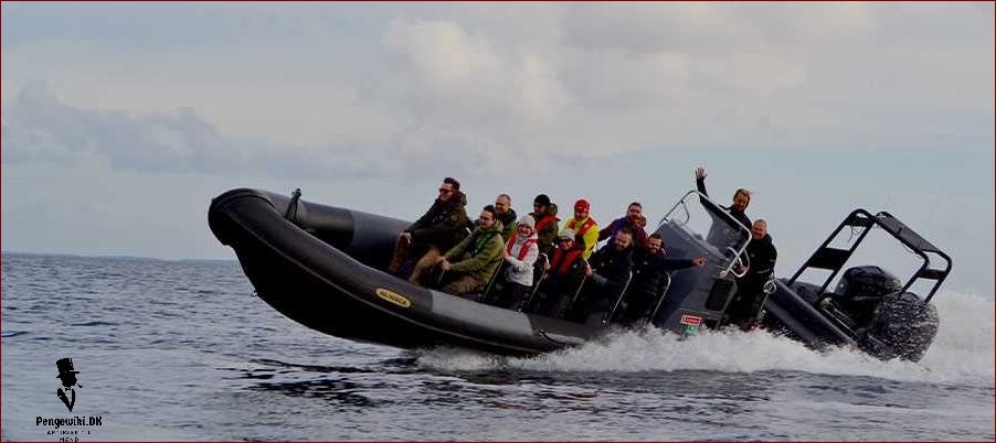 Lej en speedbåd til sjov og fart på vandet - Find den perfekte speedbåd hos os