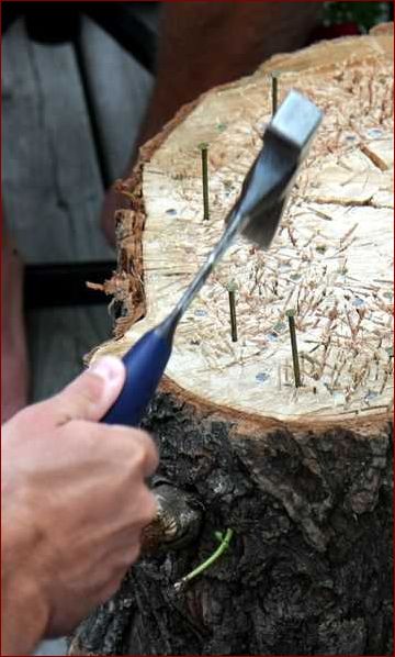 Slå søm i træstub - Hurtige og nemme metoder til at fastgøre ting i træstubben