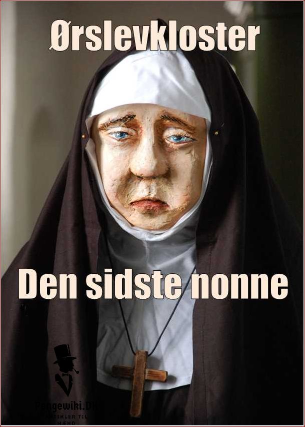 Nonner i samfundet