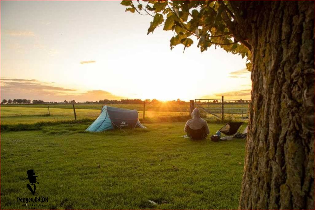 Træ telte til en unik campingoplevelse